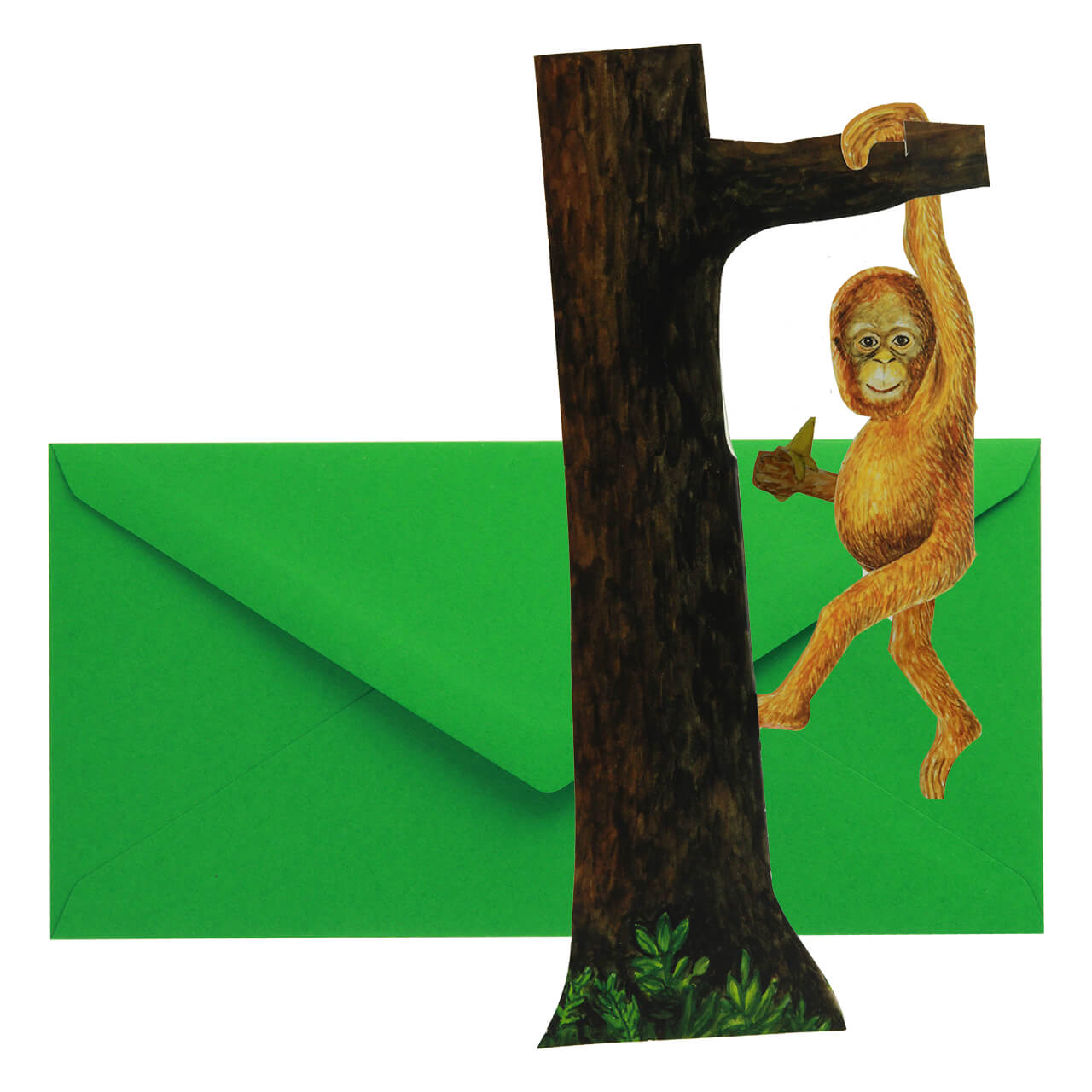09-6480-4-Grusskarte-Affe-am-Baum-4 Orang-Utan