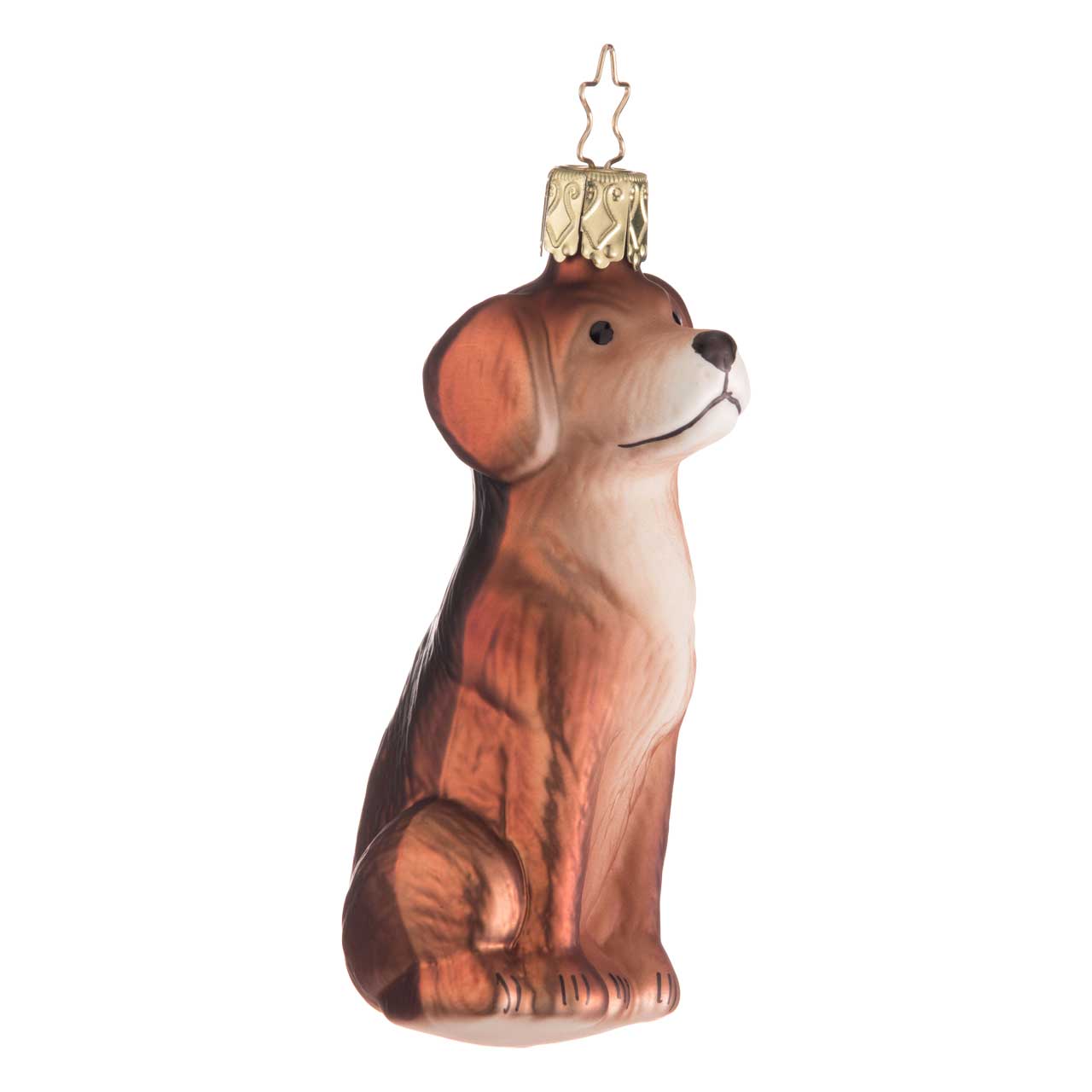Bilderbuch-Hund Bilderbuch-Hund