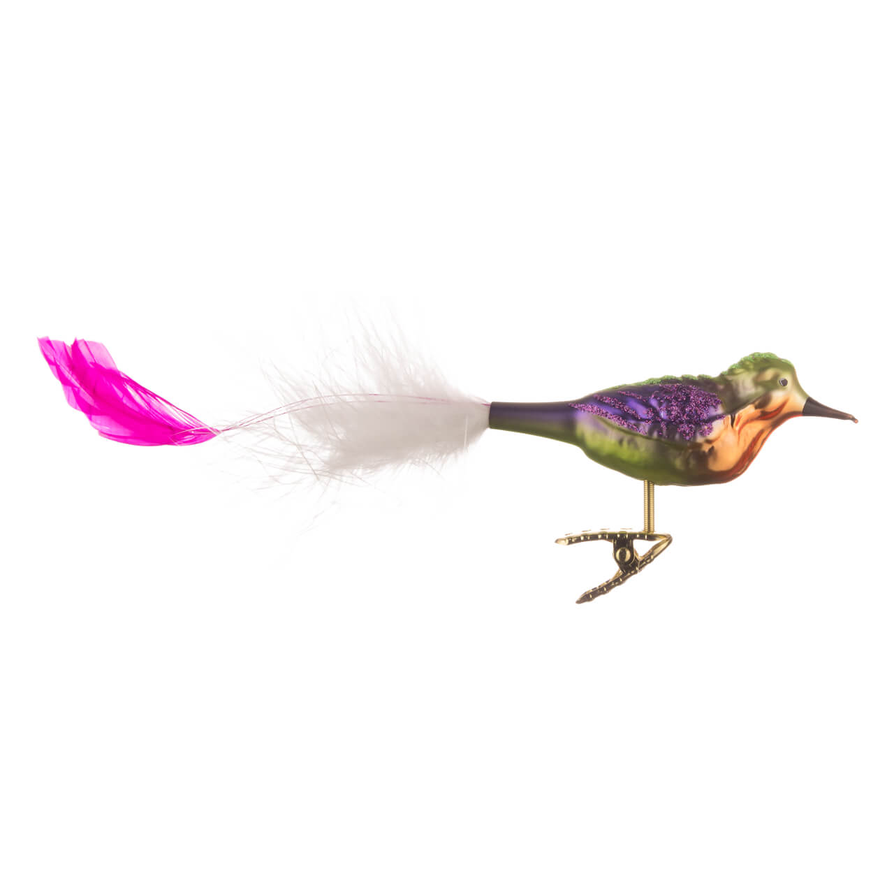 Bunter Paradiesvogel Bunter Paradiesvogel