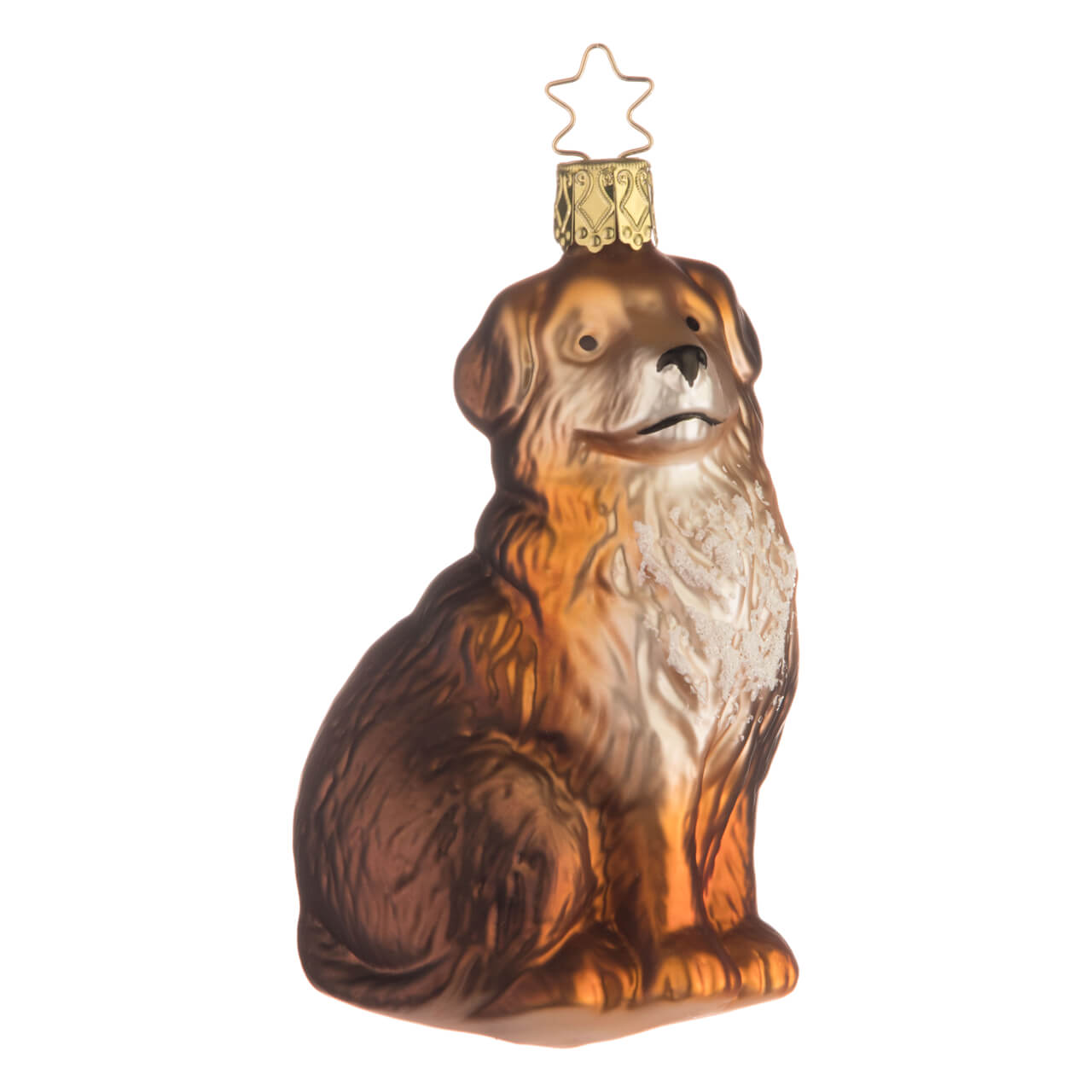 Berner Sennenhund Berner Sennenhund