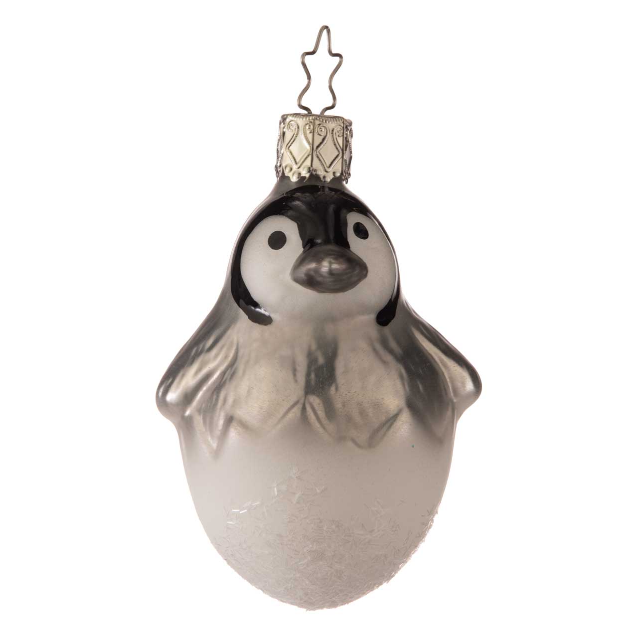 frisch geschlüpfter Pinguin