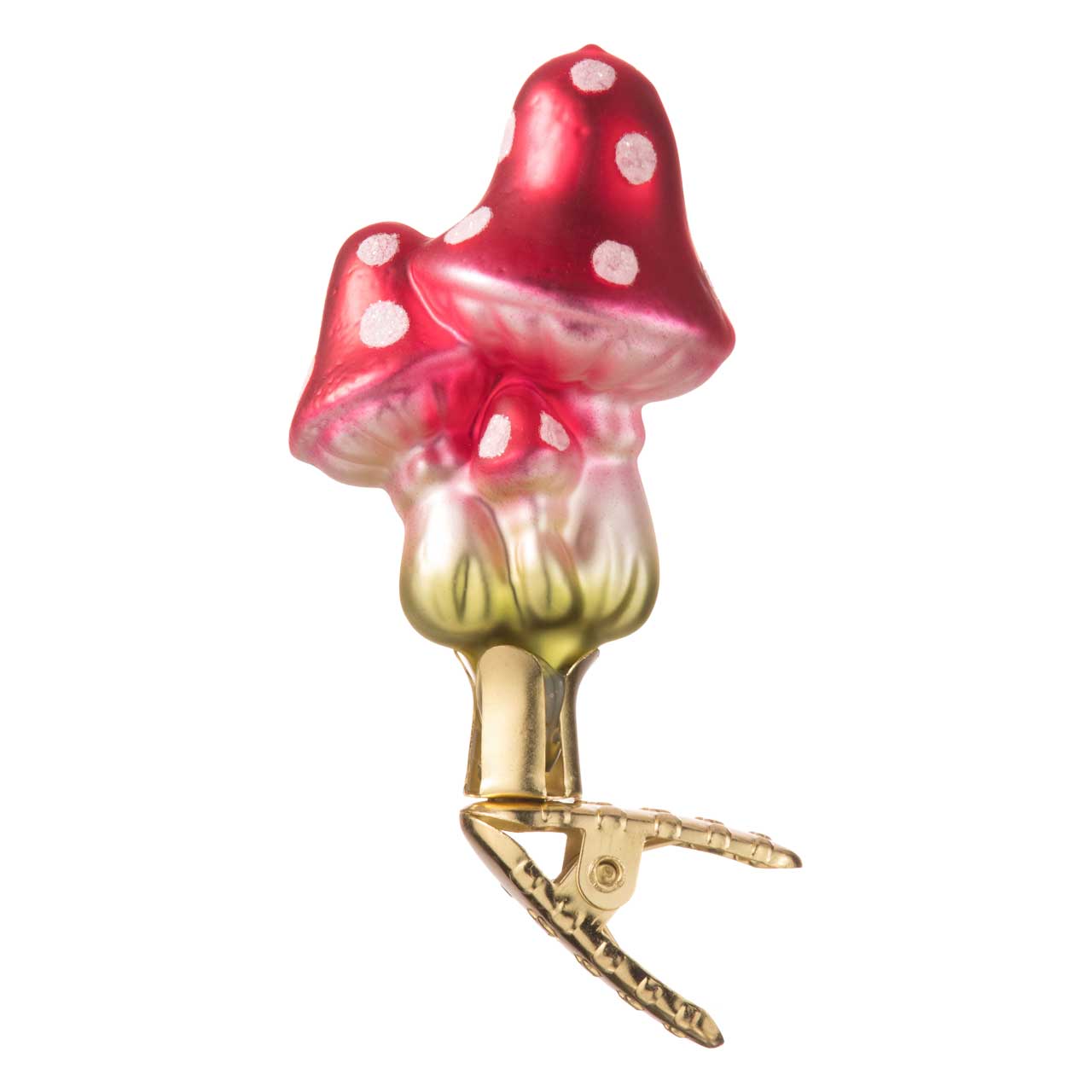 Pilze-Klipp Pilze-Klipp