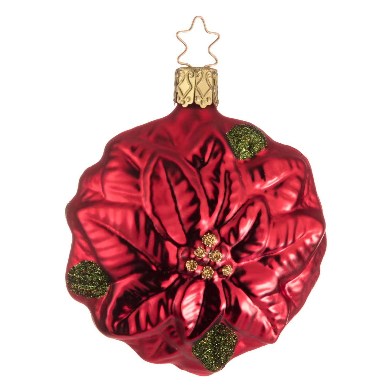 Weihnachtsstern Weihnachtsstern