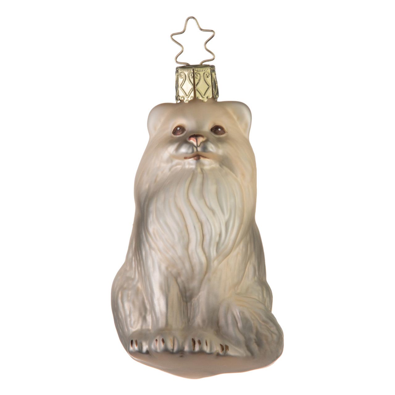 Perserkatze Perserkatze