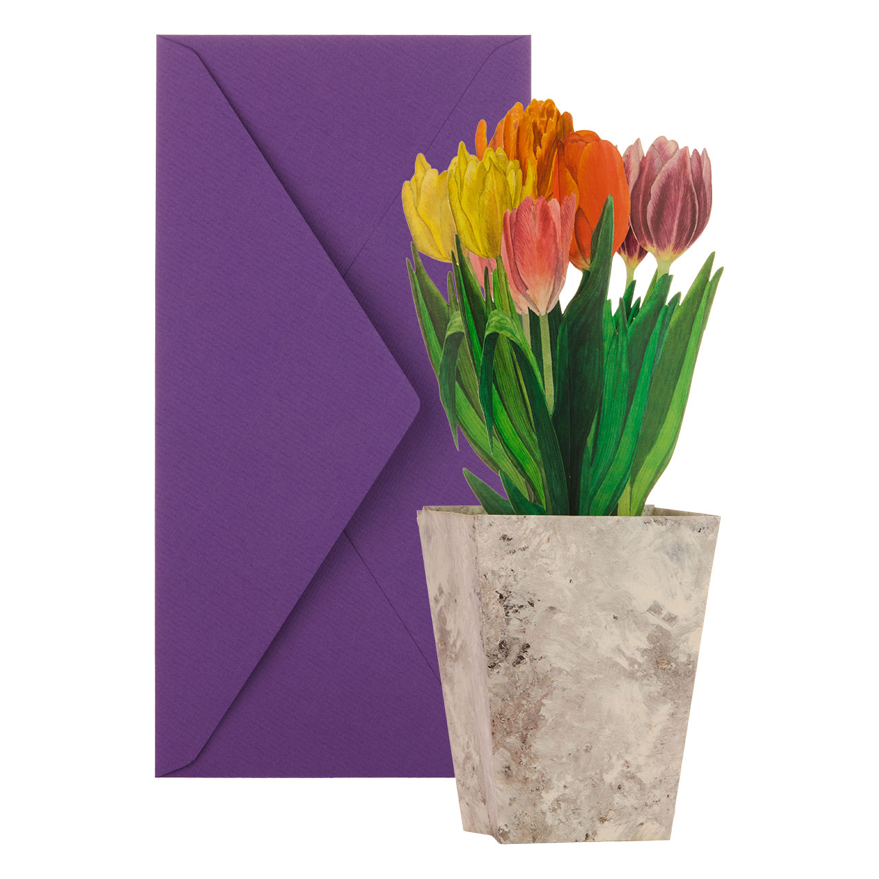 Bunte Tulpen Bunte Tulpen