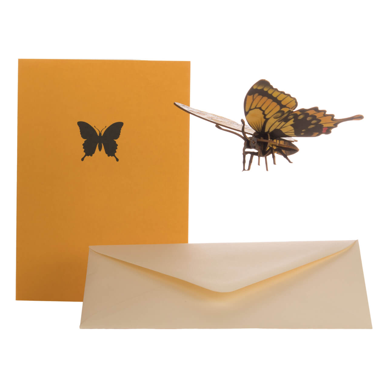 Schmetterling Schmetterling