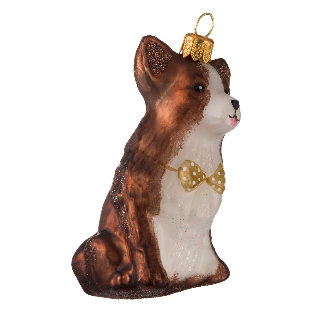Corgi
