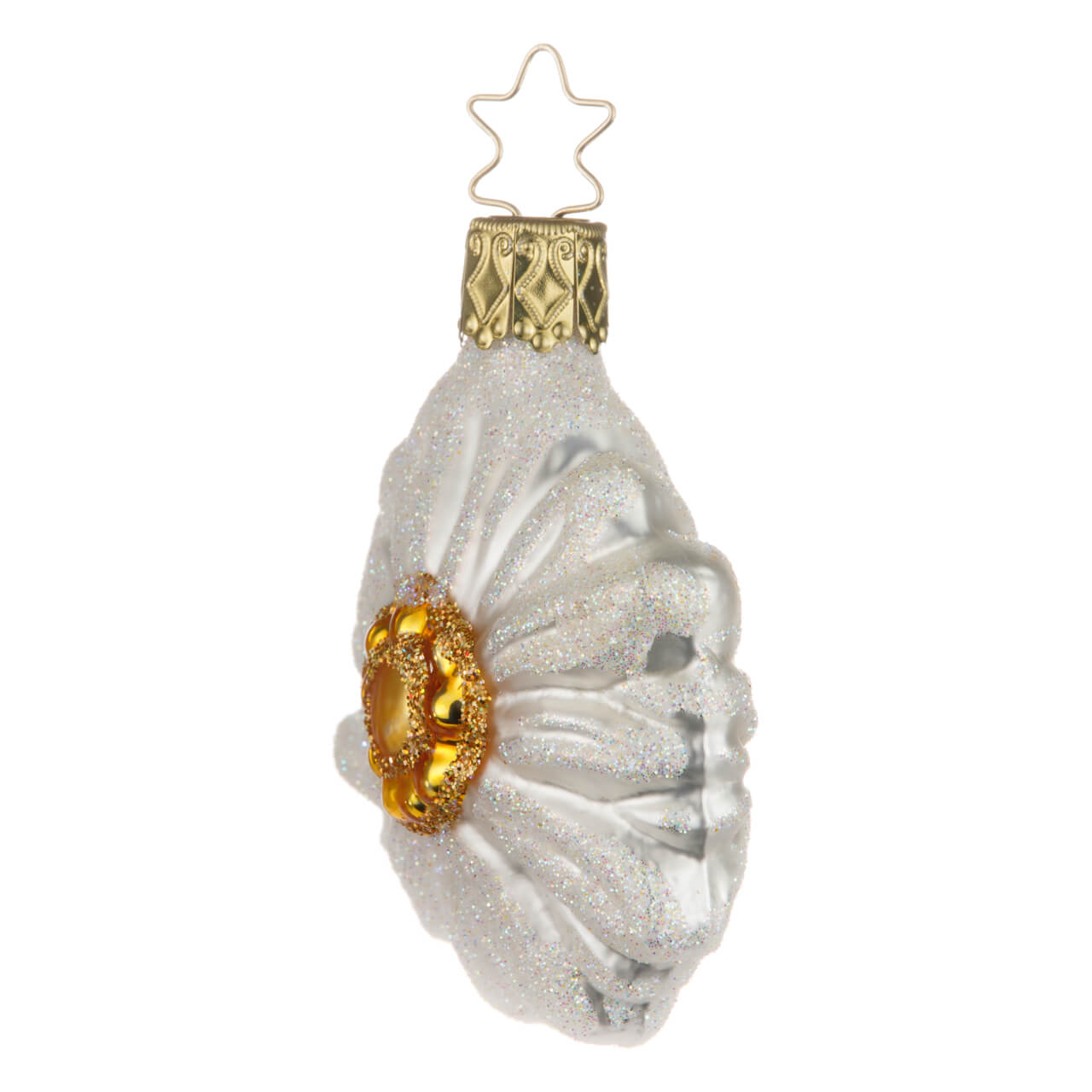 21-4363-2-Edelweiss-2