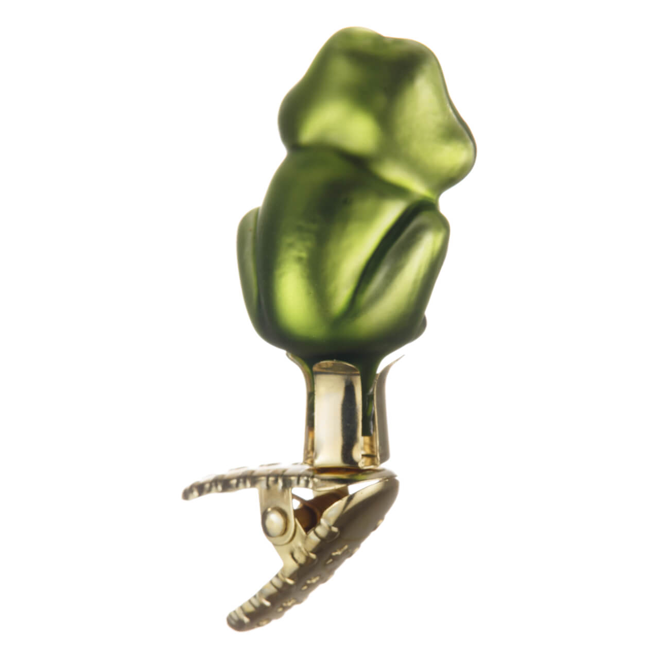 21-8468-0-Kleiner-Frosch-2