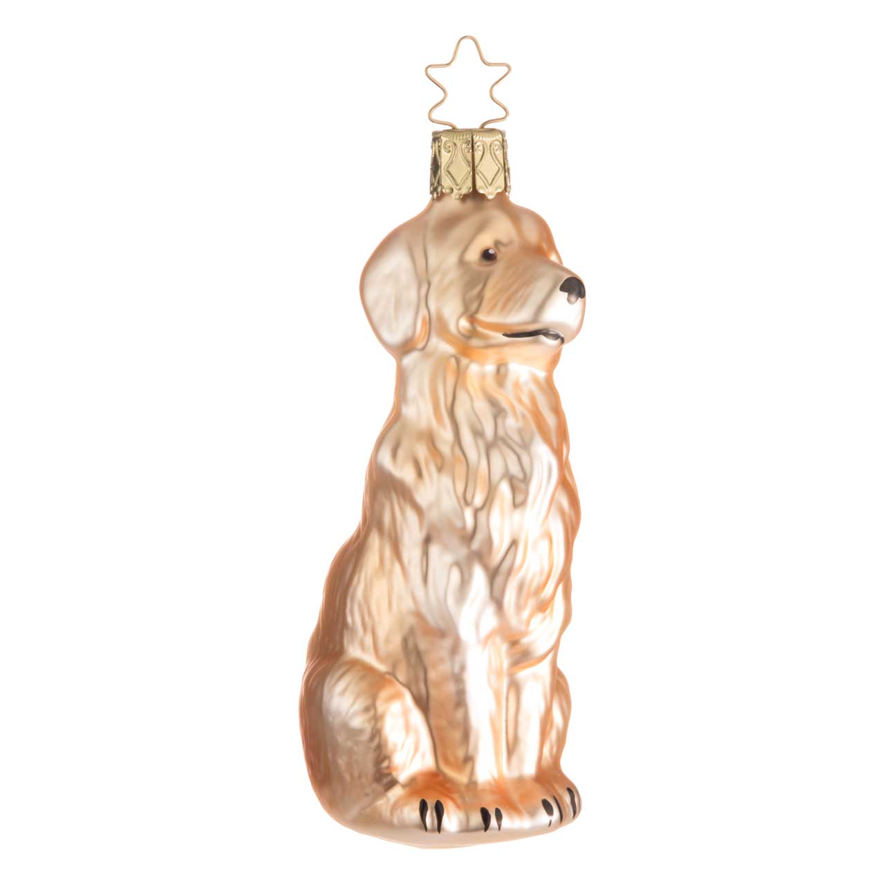 Golden Retriever Golden Retriever