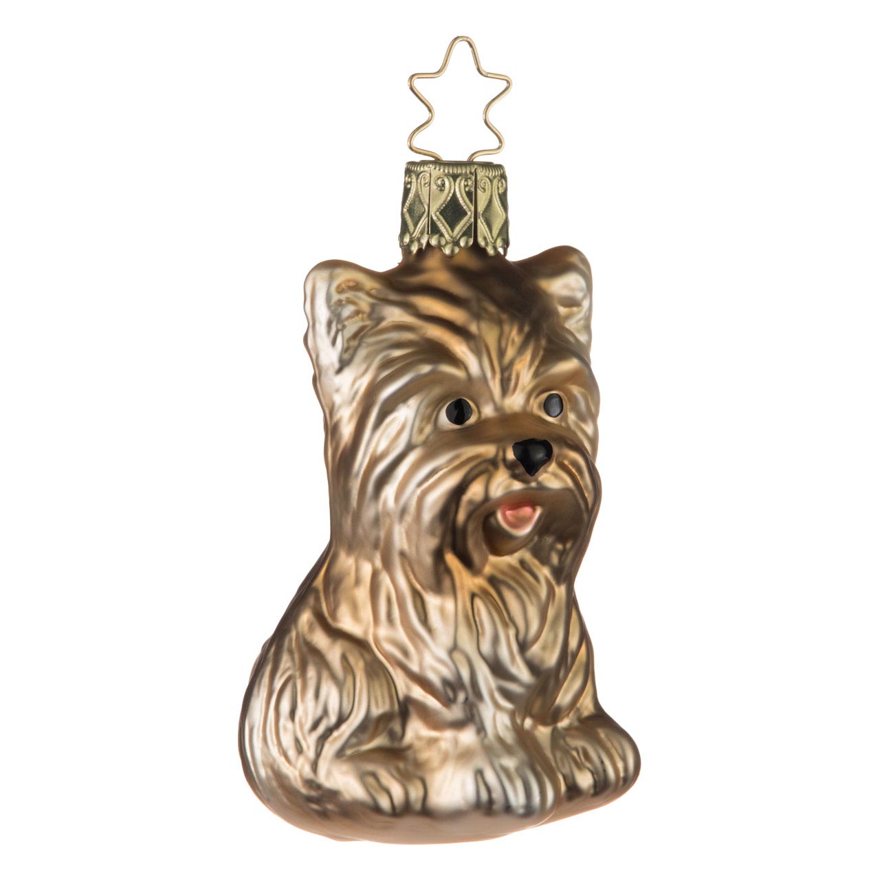 Yorkshire Terrier Yorkshire Terrier