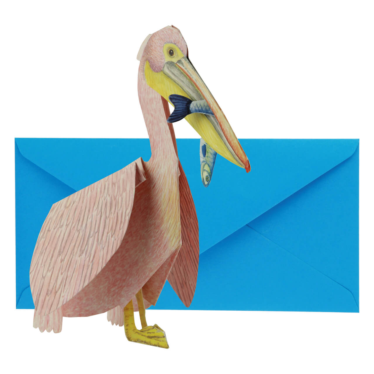 09-9576-1-Grusskarte-Pelikan-3 Pelikan
