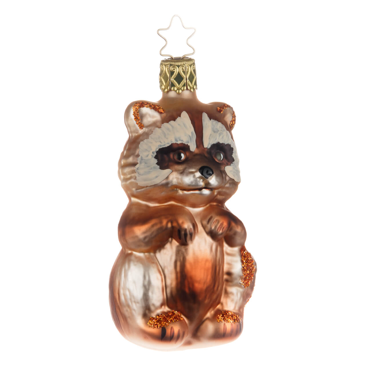 21-2551-5-Waschb-r-1 Waschbär