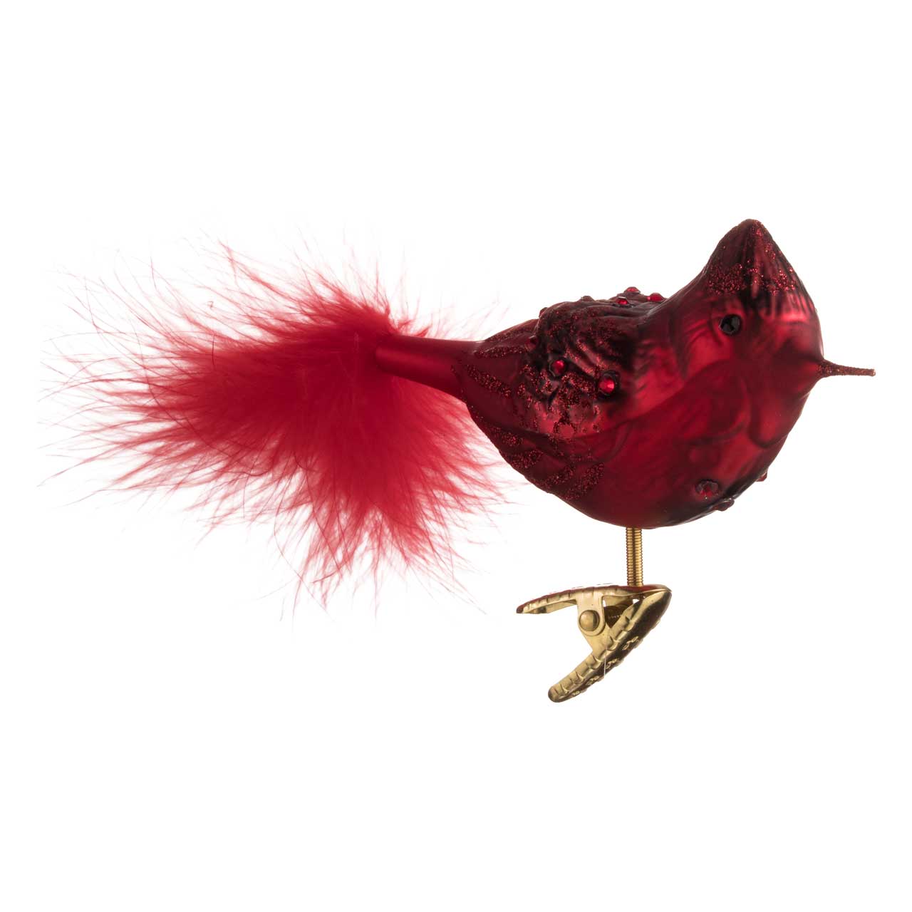 Funkelnder Rotkardinal