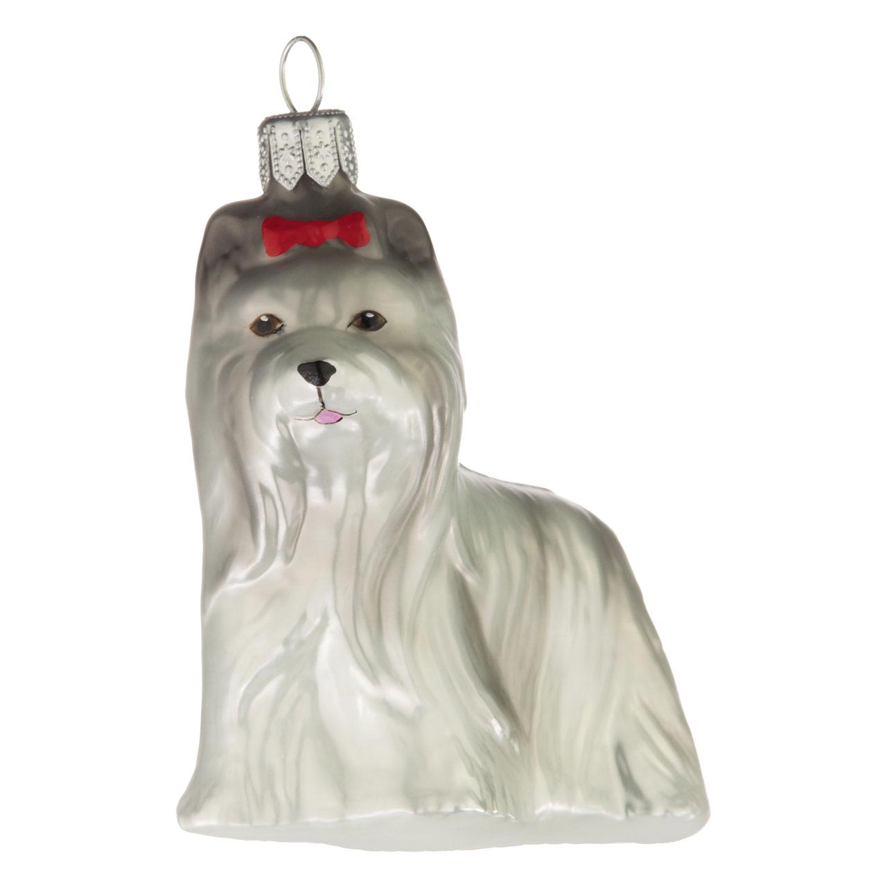 Shih Tzu Shih Tzu