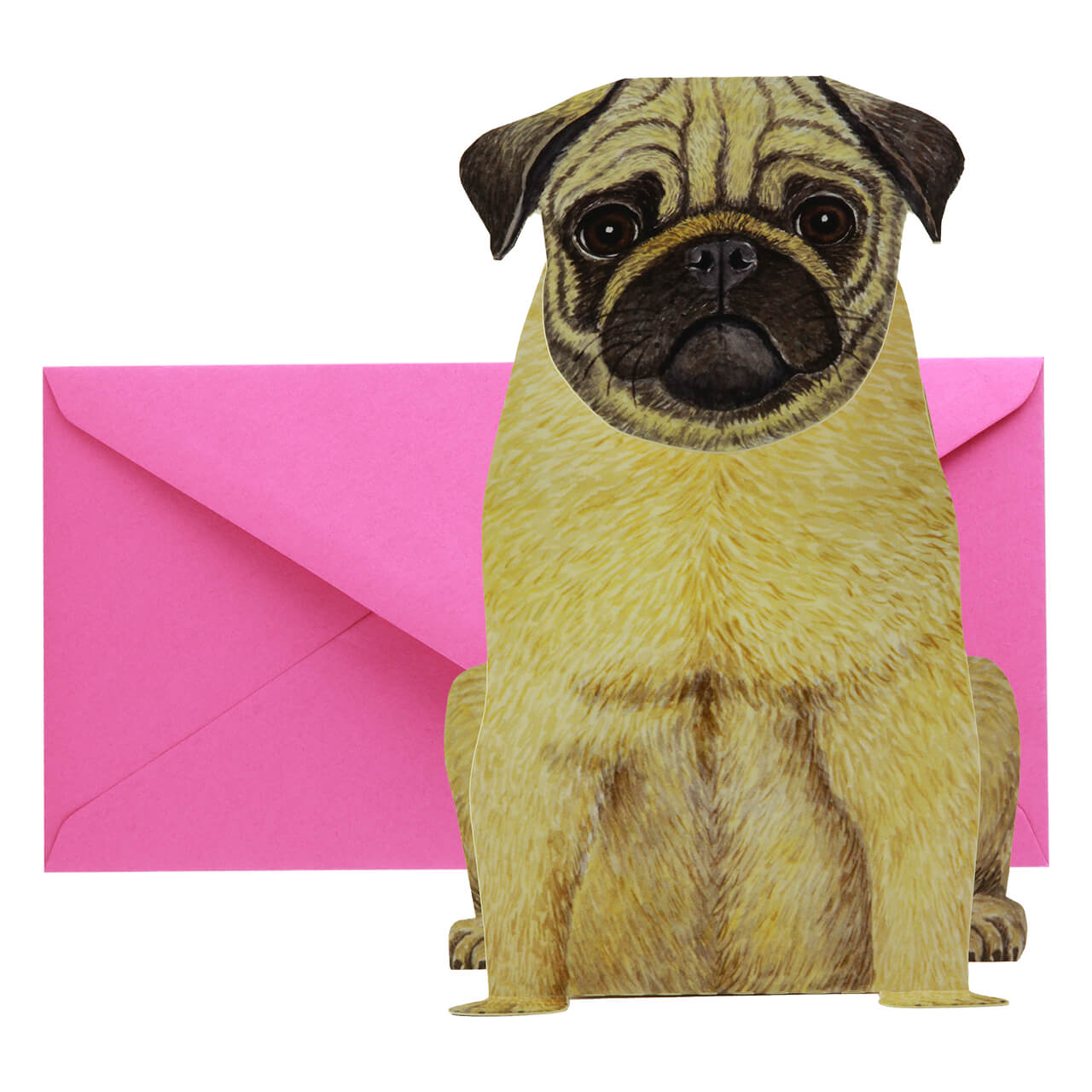 09-6218-3-Grusskarte-Mops-4 Mops