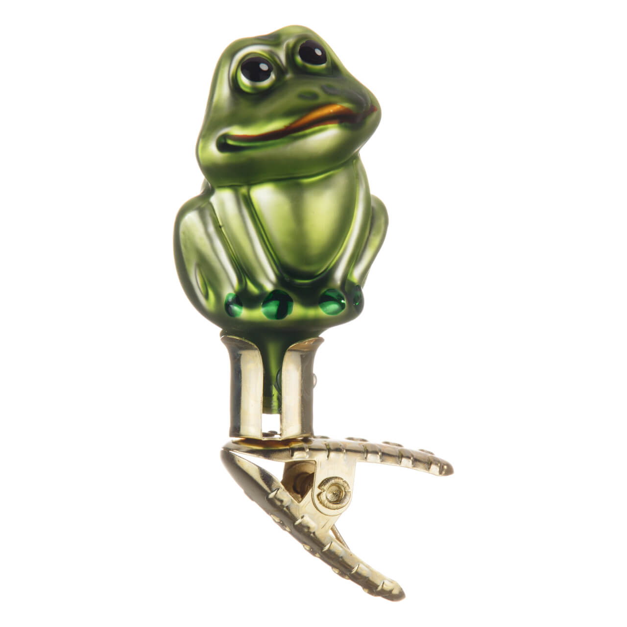 21-8468-0-Kleiner-Frosch-1 Kleiner Frosch