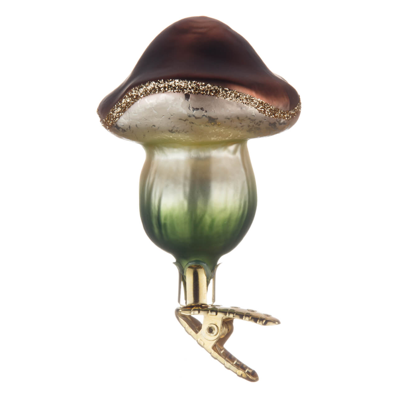 21-2793-9-Maronenpilz-1 Maronenpilz