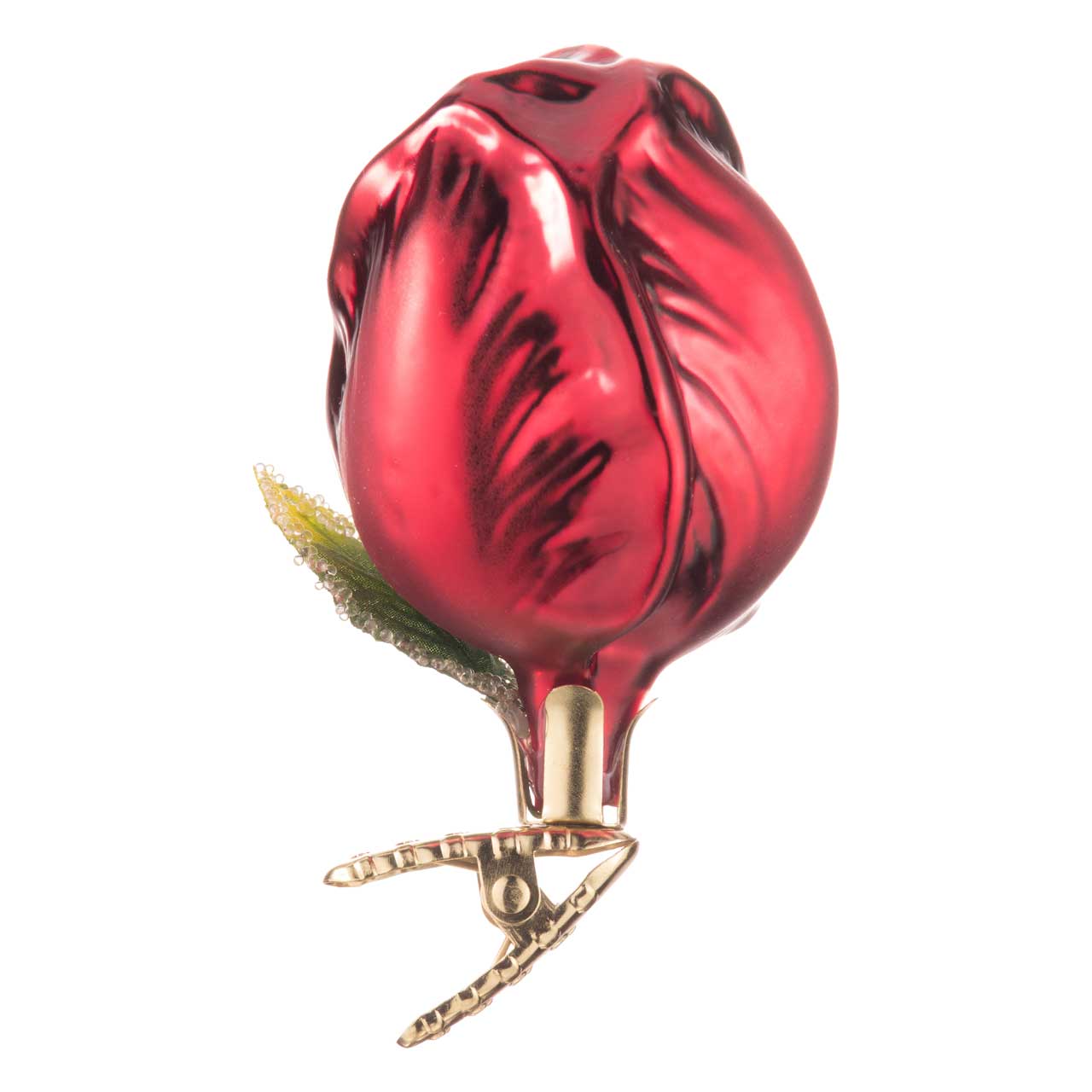 Tulpe Tulpe