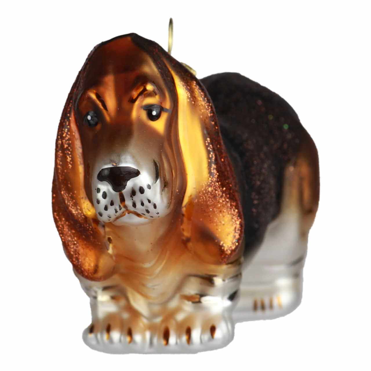 Basset Hund