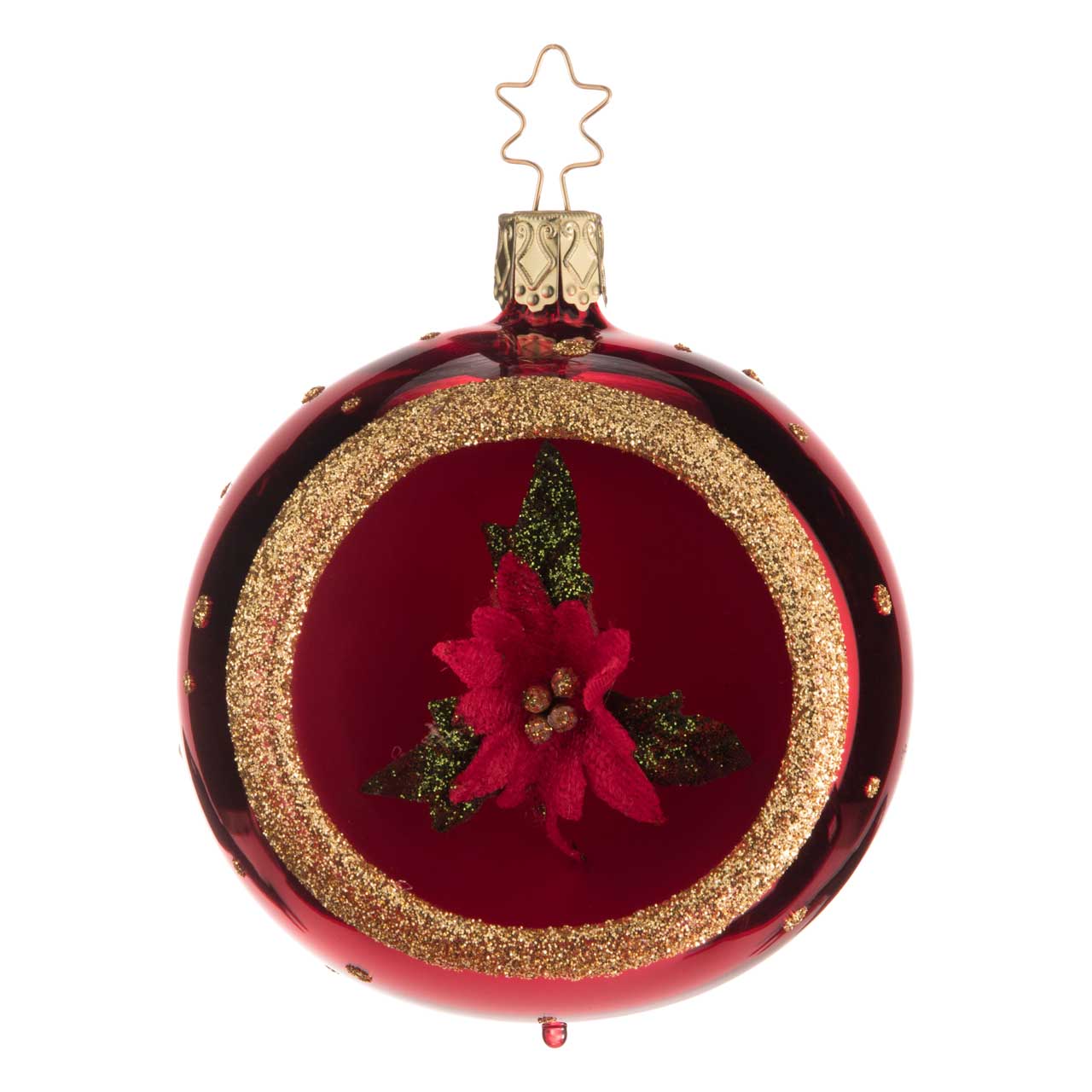 Weihnachtsstern Weihnachtsstern