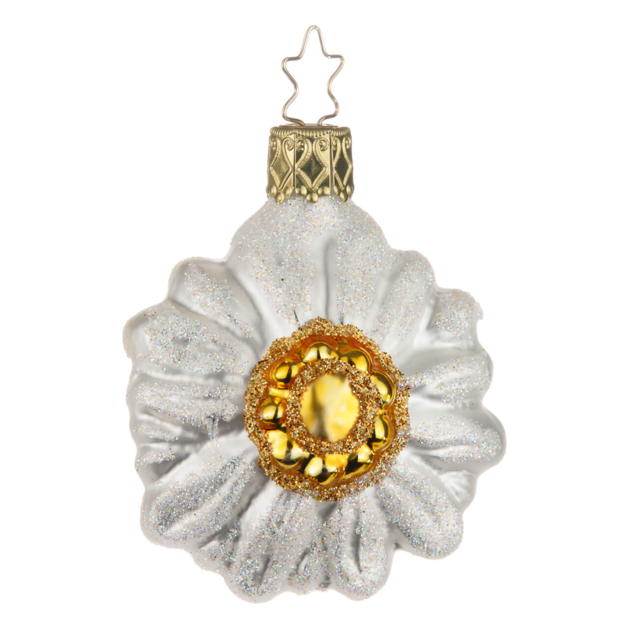 21-4363-2-Edelweiss-1 Edelweiß