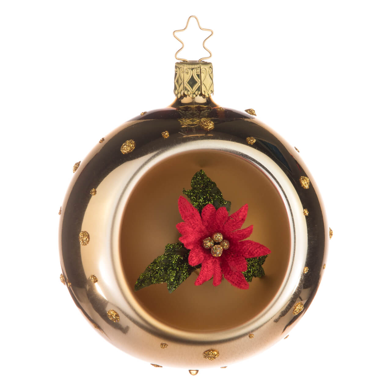 Weihnachtsstern Weihnachtsstern
